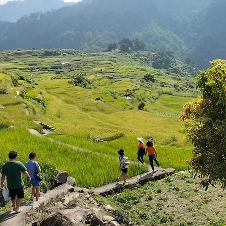 Hotel Banga-An Bnb And Coffee House Sagada Exterior foto