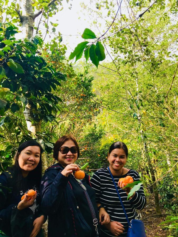 Banga-An Bnb And Coffee House Sagada Exterior foto